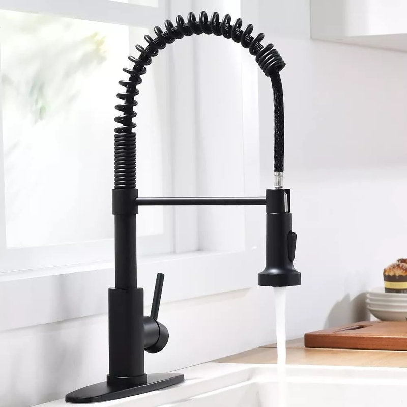 AlenArtWater Pull Down Kitchen Faucet