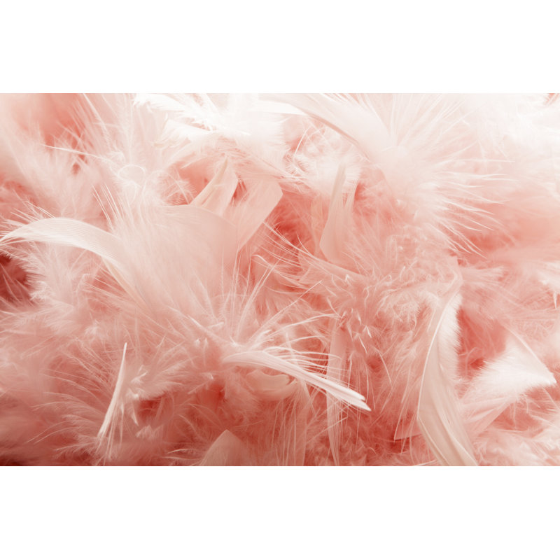 Pink Feather Background by Floortje - Wrapped Canvas Print, 81cm H x 122cm W