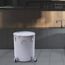 https://assets.wfcdn.com/im/33793856/resize-h210-w210%5Ecompr-r85/2269/226917660/Chrissette+16+Gal+Fryer+Grease+Bucket+With+Wheels+%28Oil+Container%29.jpg