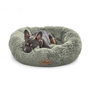 Pet Bed Insulation - How To Insulate a Pet Bed Guide