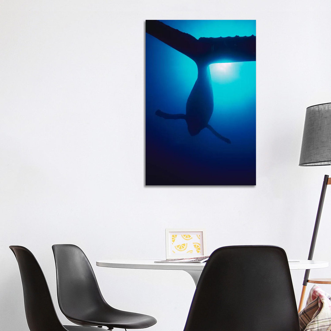 Humpback Whale Male Singing, Maui, Hawaii by Flip Nicklin - Wrapped Canvas Gallery-Wrapped Canvas Giclée