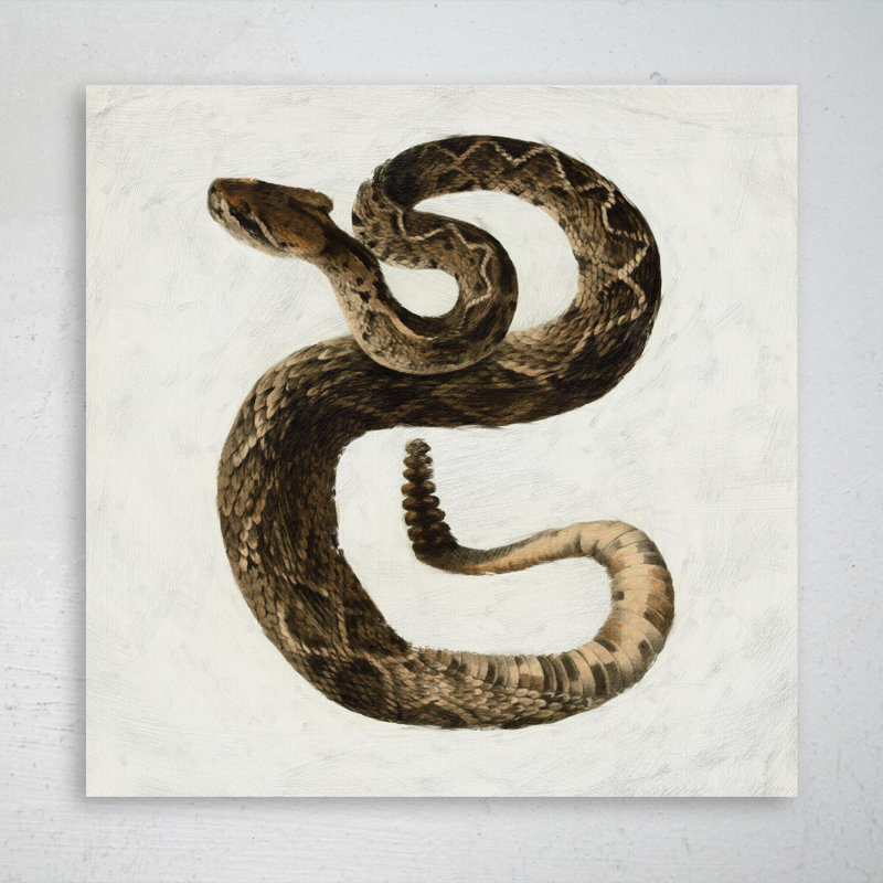 A Rattlesnake - peinture sur toile tendue, H 32 po x l 32 po