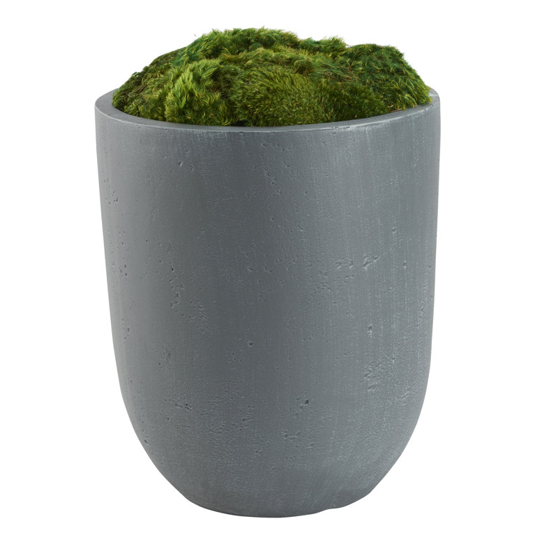 Mousse conservée dans une jardinière ronde en résine, H 19 po x l 14 po x P 14 po