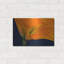 «Lily Dressed In Orange» par Pamela Plummer-1749955048