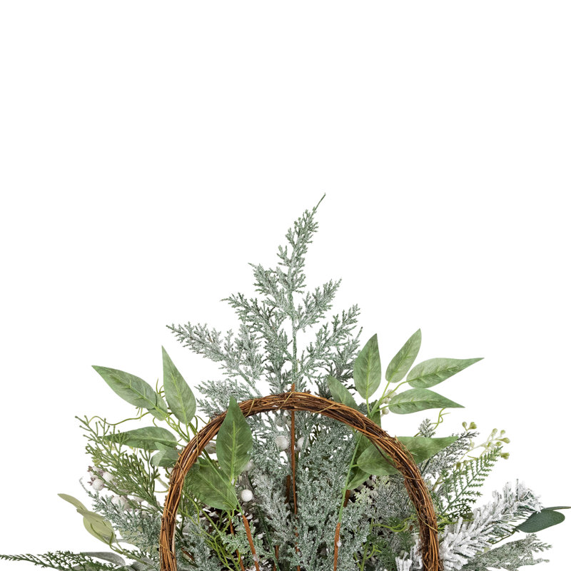 28 plantes