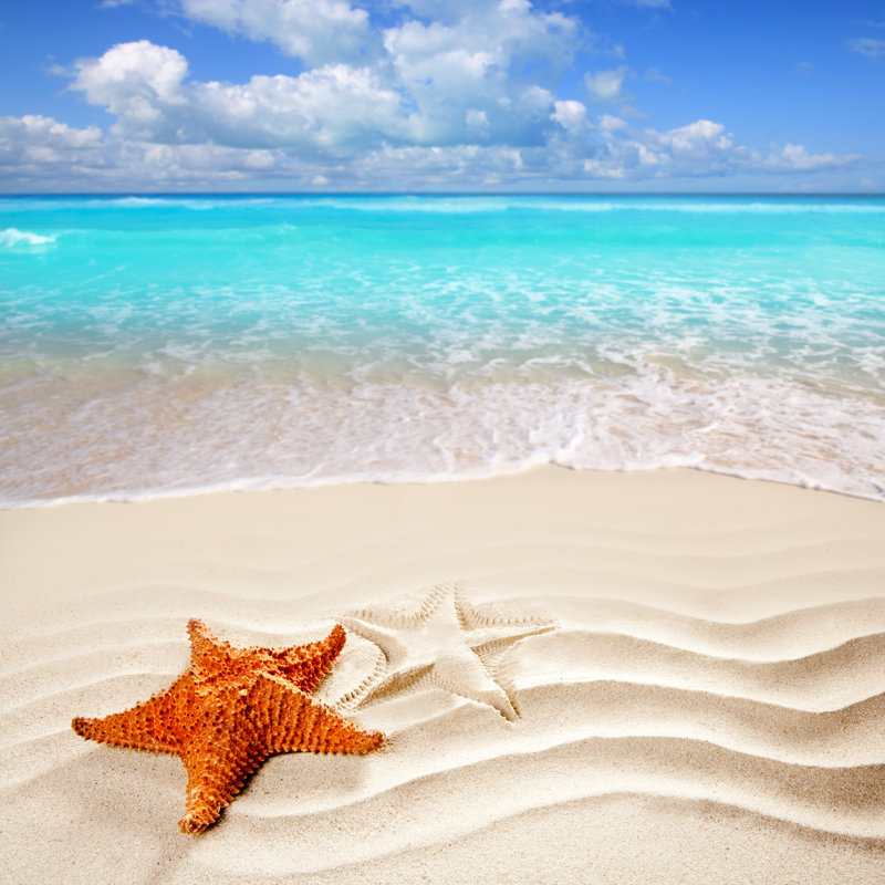 Caribbean Tropical Beach - Wrapped Canvas Print, 30cm H x 46cm W