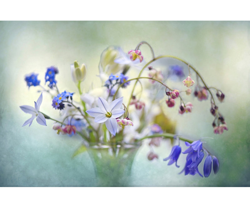 Wrapped Canvas Print, 50.8 cm H x 76.2 cm W