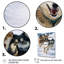 «Alaska Dog Sledding III», reproduction sur toile-570328353-570328355