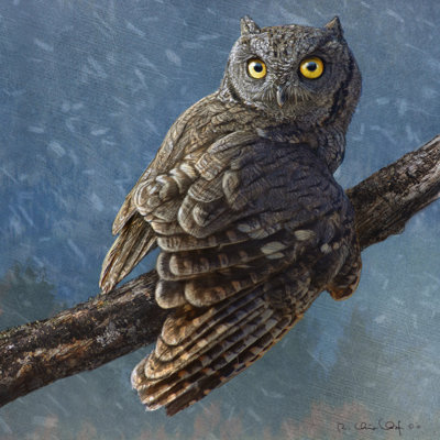 Hibou en hiver I