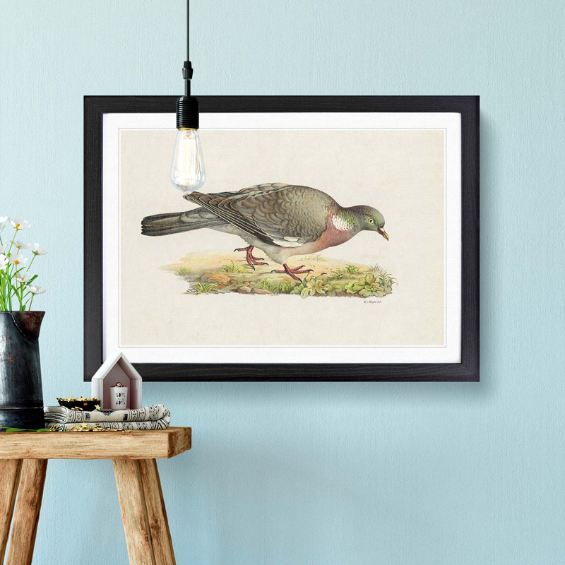 Common Wood Pigeon by Von Wright - Picture Frame Painting Print on MDF, 36cm H x 48cm W x 2cm D, Black Framed