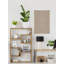 Bare Leaves - Single Picture Frame Painting-1183029584