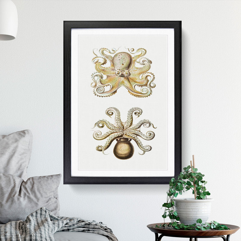 Vintage Octopus by Ernst Haeckel - Picture Frame Painting, 65cm H x 48cm W x 2cm D, Black