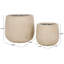 Yunque Pot Planter-1733586062