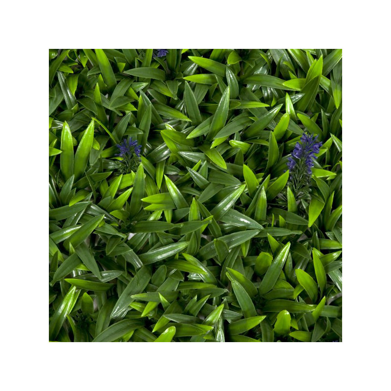 53cm Plant