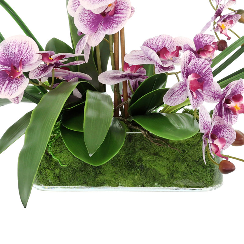 Orchid Arrangement in Pot