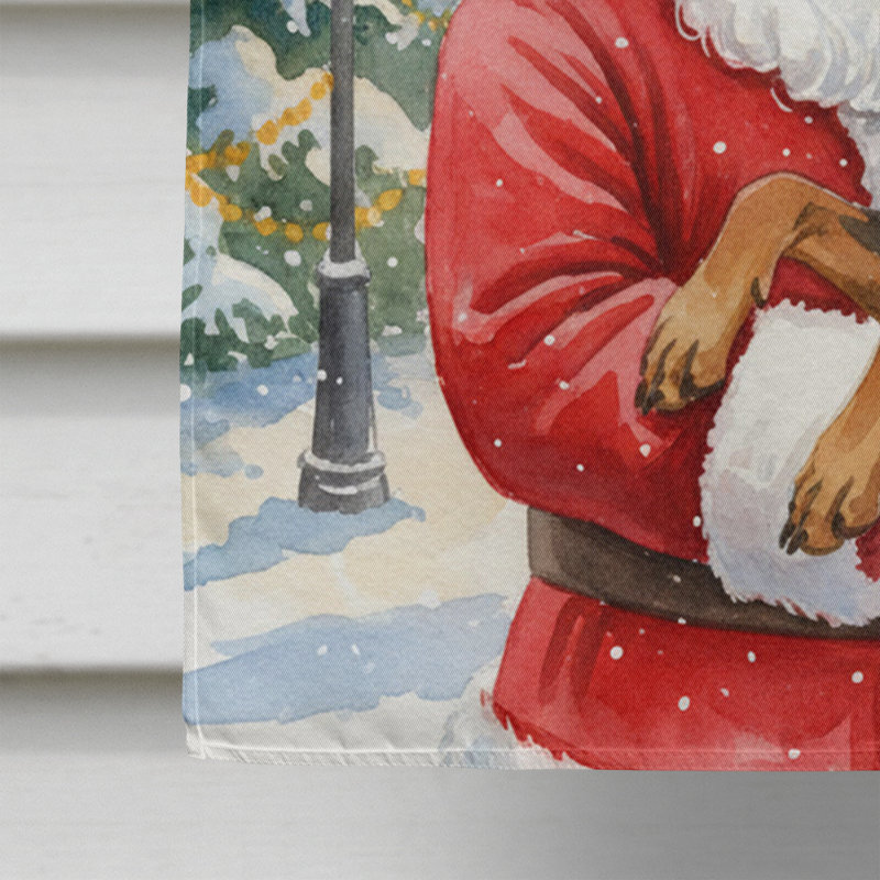 Doberman pinscher fauve avec le drapeau de la maison du Père Noël, Taille de la maison, Doberman pinscher fauve