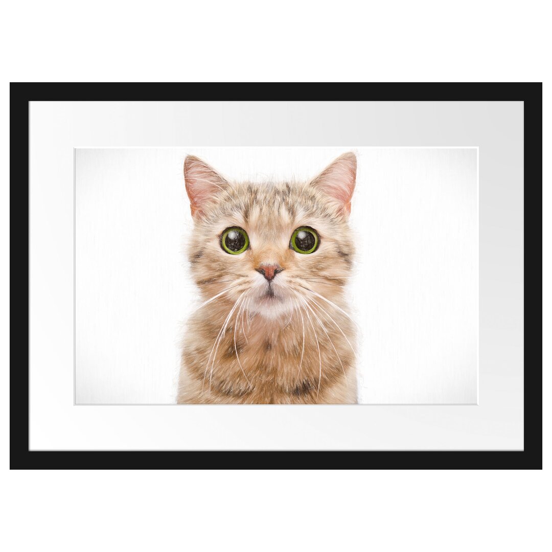 Gerahmtes Poster Katze Scottish Straight