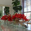 Centre de table orchidée Driftwood Cymbidium-898860768-898860774