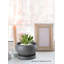  Mini pot à fleurs en granit en céramique, pots ronds noirs texturés avec soucoupes attachées, jardinières d'intérieur modernes pour plantes grasses, décorations de table et de cactus, 6 po de diamètre et 3,5 po de hauteur, paquet de 2