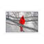 Cardinal Bird - Floater Frame Print on Canvas-1838350654-1838350652