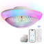 Ventilateur de plafond classique à pales transparentes 15 po 15 pouces ABS, effet d'éclairage immersif RVB, contrôle intelligent APP / six vitesses