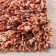 Poarch Shag Hand Loomed Performance Solid Color Rug