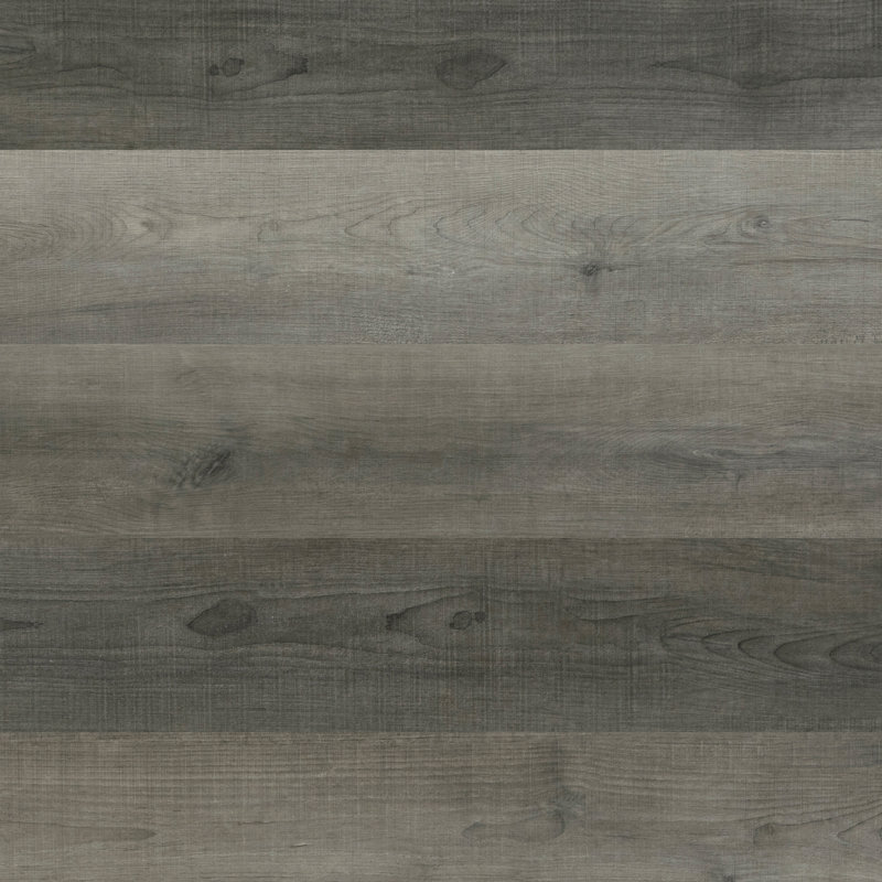 XPR Studio 7''W x 48''L x 5.2mm Luxury Vinyl Plank, Portrait Gray