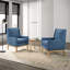 Fauteuil Amazonia-1440583472