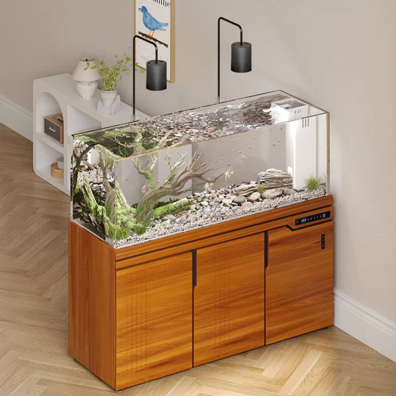 Aquarium filtré écologique ultra-transparent