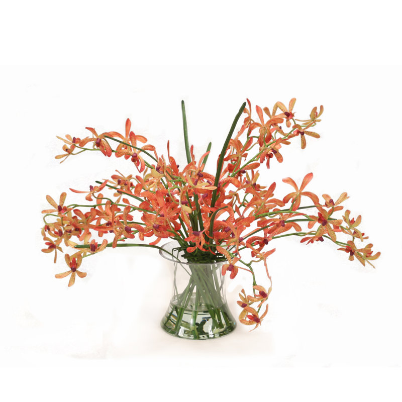 Orchidées corail Vanda dans un vase de sablier