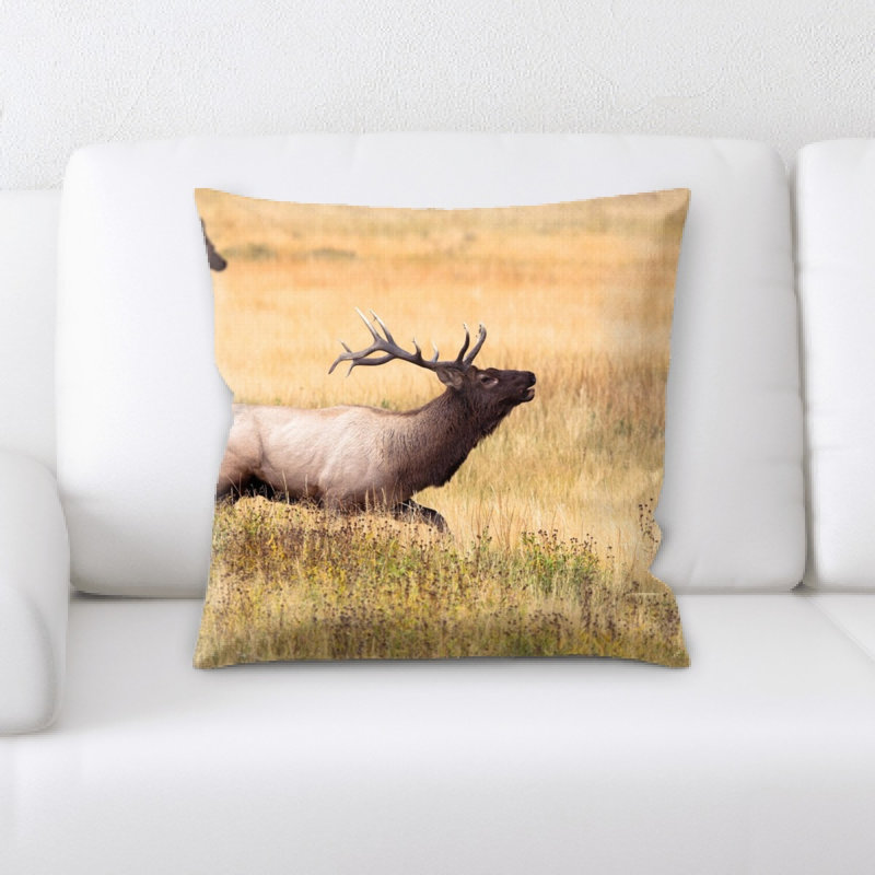Microsuede Throw Pillow