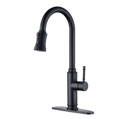 Sumerain S6132P-XX-6133 Pull Out Kitchen Faucet