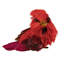 Ensemble de 4 décorations pour oiseaux de Noël à pince en sisal 3,5 po