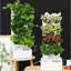 Vertical Garden