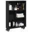 Ricaria 68cm H x 48cm W Bookcase-1511602888