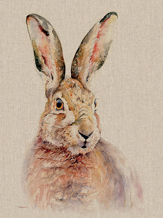 Jane Bannon - Wrapped Canvas Print, 80cm H x 60cm W