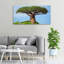 Baobab - No Frame Print on Glass-484130800-484130807