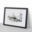 Beached Dolphin by Charles D'Orbigny - Single Picture Frame Painting-55543971-55543972