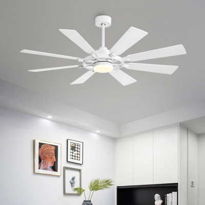 Antoinesha Ceiling Fan with LED Lights