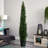 Faux Cedar Tree in Planter-557246247