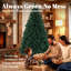 Christmas Tree-134058816