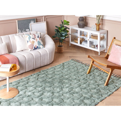 Hessmer Geometric Cotton Hand Woven Area Rug