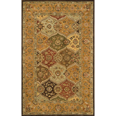 Hand Tufted Wool Oriental Indoor Rug
