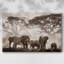 Parc national Amboseli, toile tendue avec châssis-159796283