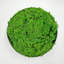 Mousse de renne préservée en vert émeraude-50091035