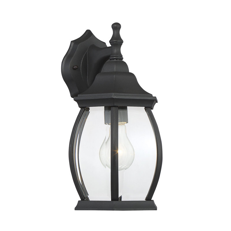 Lanterne murale d'extérieur 1 lumière Meridian, Noir