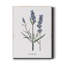 Lavande - impression sur toile tendue-580787129