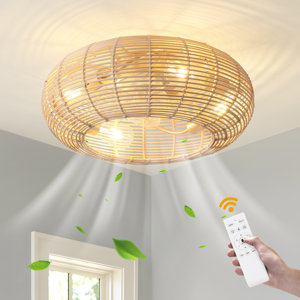 https://assets.wfcdn.com/im/33804037/resize-h300-w300%5Ecompr-r85/2557/255767695/Hoai+20%22+Boho+Caged+Ceiling+Fan+with+Lights+Flush+Mount.jpg