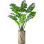 Arbre artificiel dans un pot de fleurs moderne, décoration d'arbre en soie artificielle Monstera (pot et arbre)-141567784-156323611