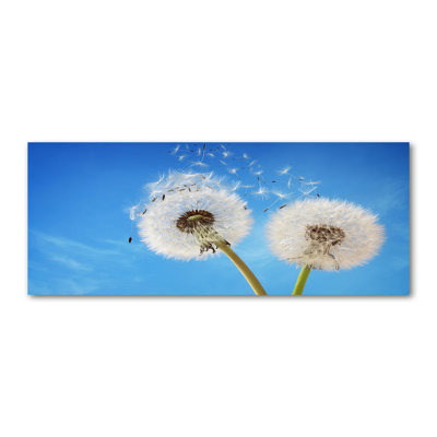 Dandelions - Wrapped Canvas Print